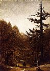 Sanford Robinson Gifford Canvas Paintings - A Forest Road